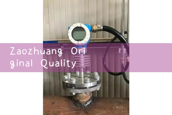 Zaozhuang Original Quality Flow Meter Manufacturer