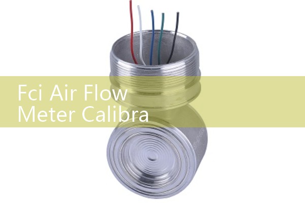 Fci Air Flow Meter Calibration: Sizing Thermal Dispersion Transmitters for Aeration Tanks