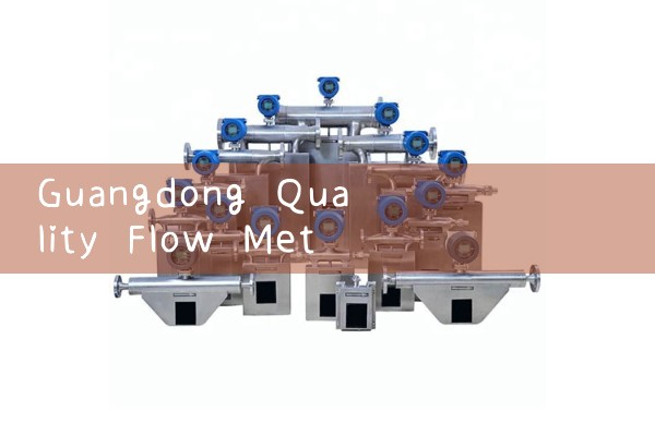 Guangdong Quality Flow Meter Manufacturer
