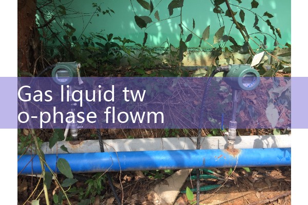 Gas liquid two-phase flowmeter