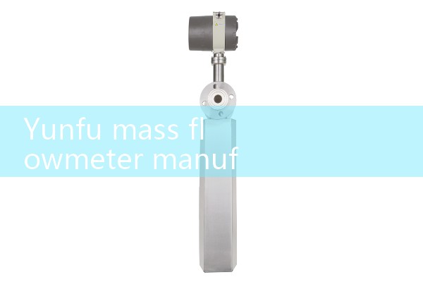 Yunfu Mass Flow Meter Manufacturer