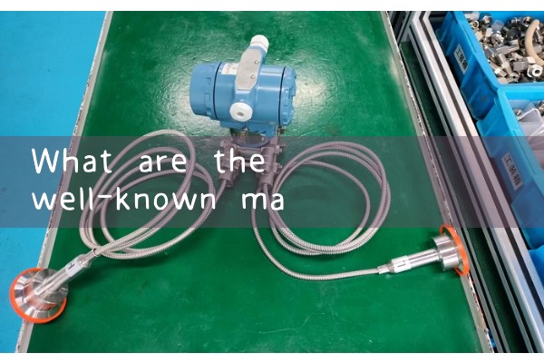Chongqing Quality Flow Meter Sales Manufacturer