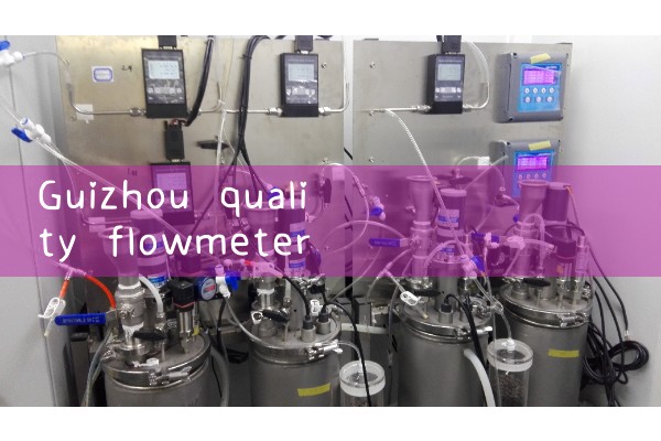 Guizhou quality flowmeter manufacturer in stock